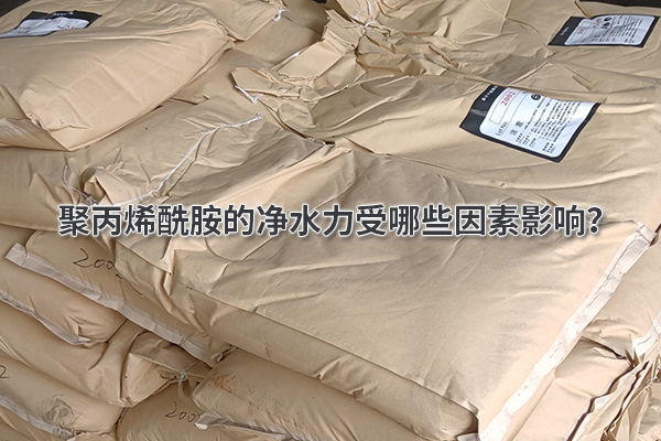 聚丙烯酰胺的净水力受哪些因素影响？